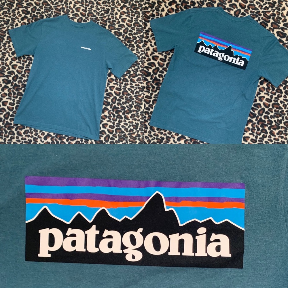 PATAGONIA teal tshirt ***SOLD***